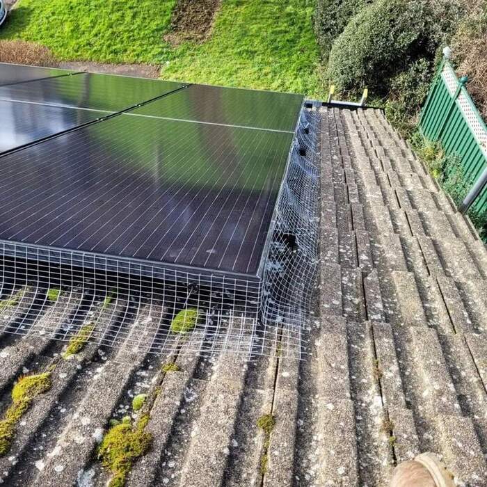 solar panel cleaning lincoln